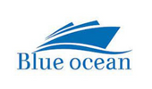 Blue Ocean Market Intelligence Bangalore